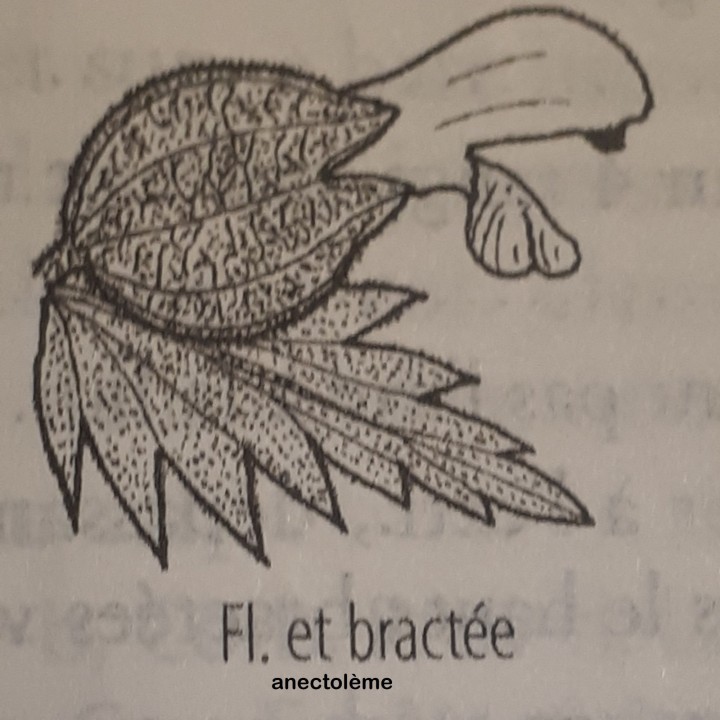 20240805_151425.jpg