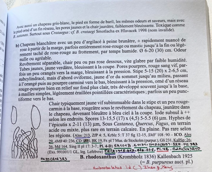 06883437-3811-46C1-96D1-FB85B78AFA08.jpeg