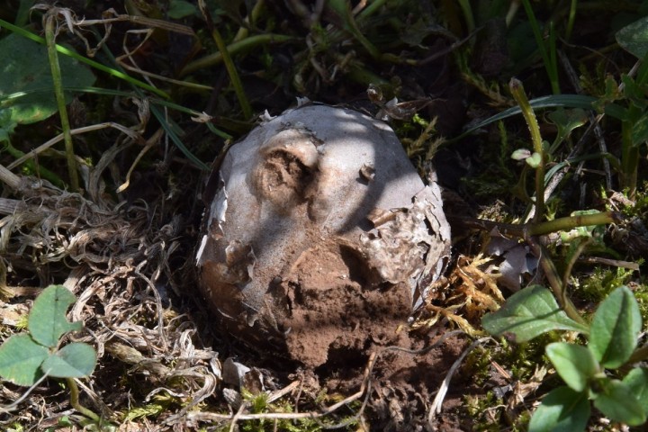 DSC_3079.jpg