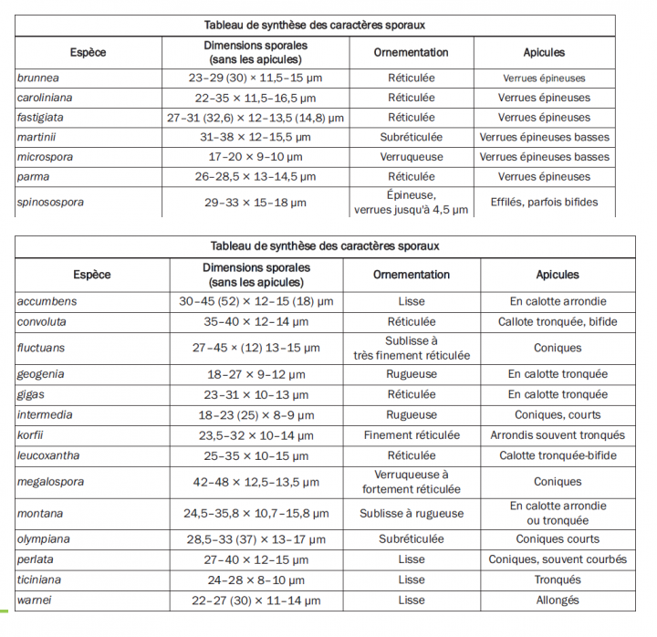 comparatif.png