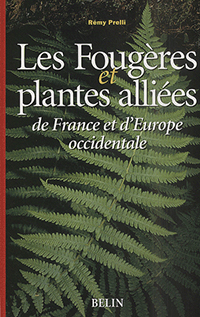 Fougeres_Plantes_alliees.jpg