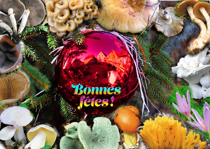 Bonnes_fetes.jpg