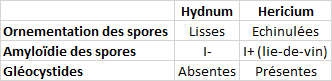 Microscopie des espèces du genre Hydnum et Hericium